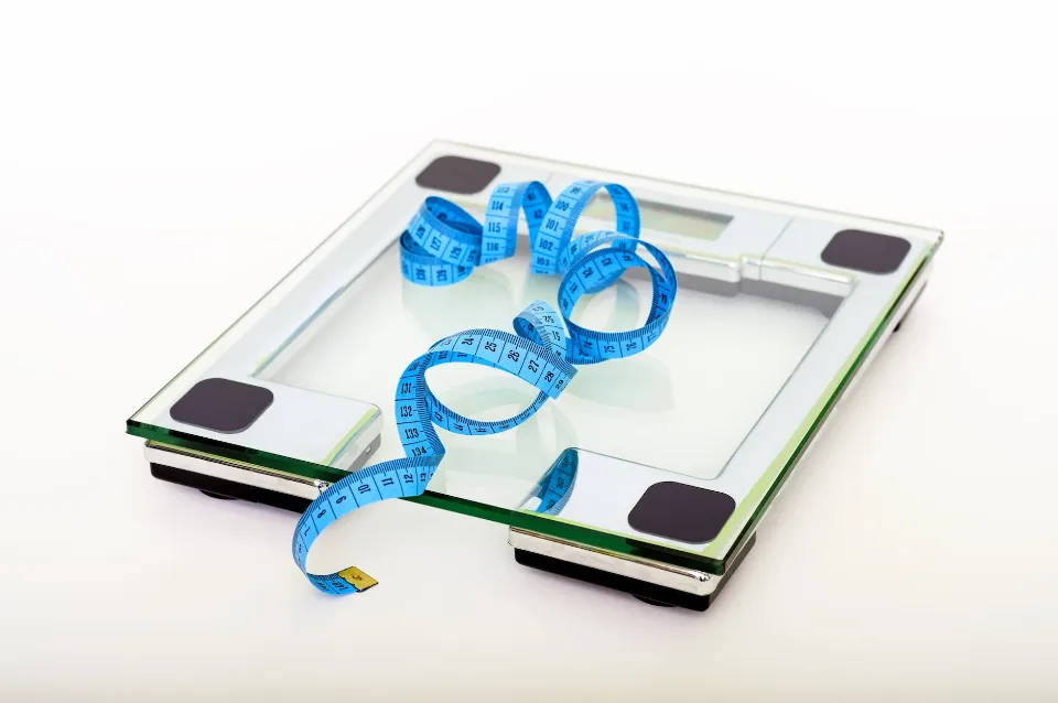 How to Weigh Food to Lose Weight? 5 Methods